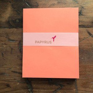 Papyrus Bright Melon Envelopes NEW